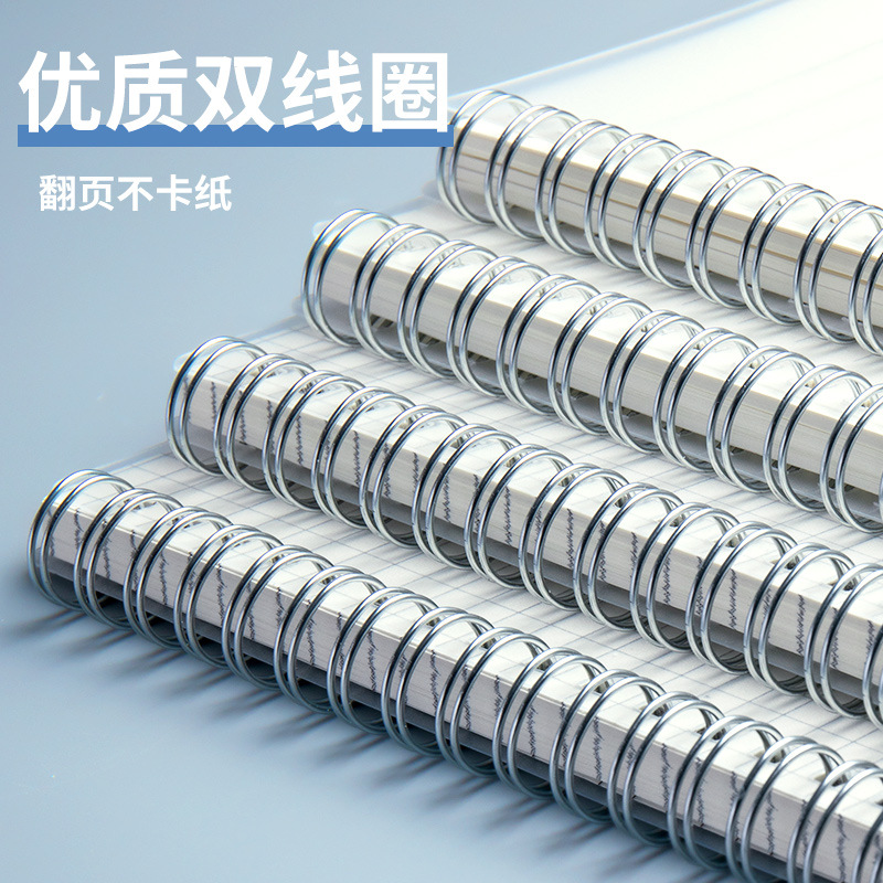 Cuaderno Espiral A5 de PP, Dia - Notebook Dotted A5 reseña y precio